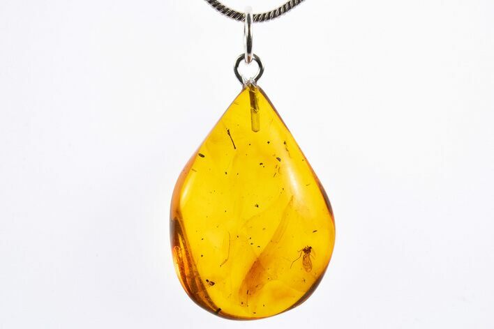 Polished Baltic Amber Pendant (Necklace) - Contains Fly! #322037